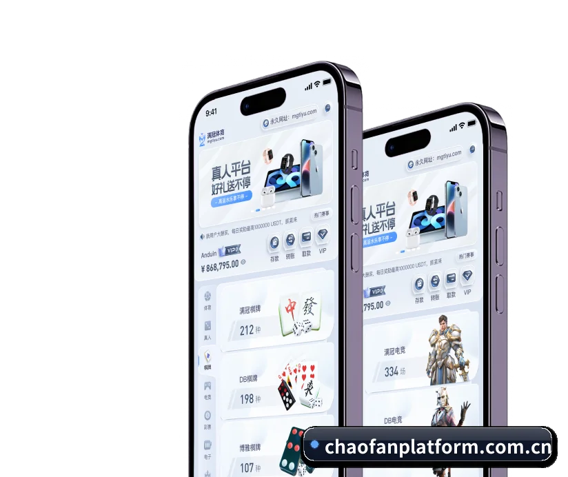 模块化服务矩阵,按项目与竞技维度科学分类
